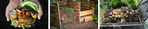 The Dirt On Starting A Compost Heap