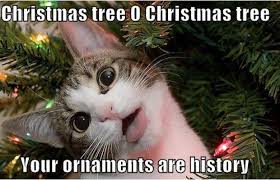 Early Mornings &amp; Christmas Meme Festivity! | Psychology at 17 ... via Relatably.com