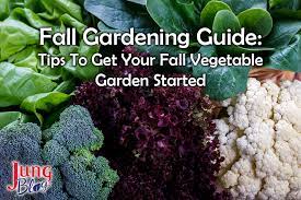Fall Gardening Guide Jung Seed S