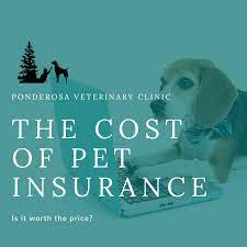 Ponderosa Veterinary Clinic gambar png