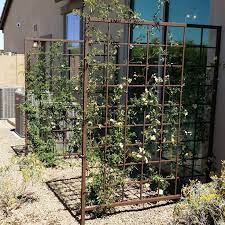 Gallery Arizona Trellis Gardening