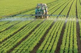 how chemical fertilizers cause water