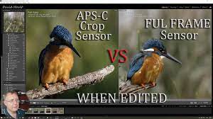 aps c crop sensor vs full frame sensor