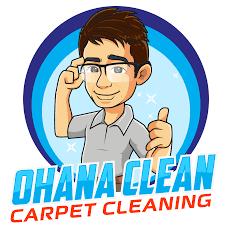 rug cleaning services minneapolis mn