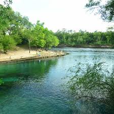 Showcasing the lower suwannee river, manatee springs state park centers around a clear blue spring, one of florida's largest and most picturesque. Dive Into The Top 10 Springs In Columbia County Florida