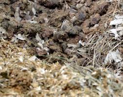 solve the horse manure pile problem