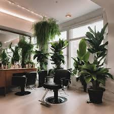 green with envy salon spa