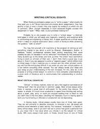  good descriptive essays cover letter really and rznuxbrdep 012 descriptive essay example about person archaicawful a in third short pdf large