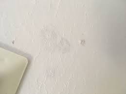 Paint manufacturer websites often allow you to upload a photo of your room to play with wall colors. Is This Mold On My Bathroom Ceiling Home Improvement Stack Exchange