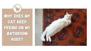 my cat keep ing on my bathroom rugs