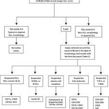 Flow Chart For The Diagnosis Of Chronic Lymphoproliferative