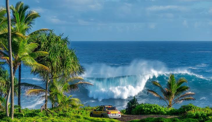 Surf's Up in Hawaii. Here's the view from the end of my road.