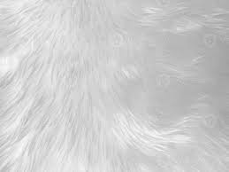 white clean wool texture background