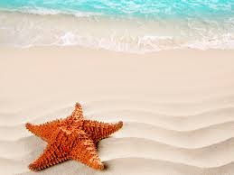 Заселили нас на пол часа раньше, мы жили в жёлтом корпусе лето. Oboi Beach Nature Sand Sea Starfish Leto More Pesok Plyazh Na Rabochij Stol Razdel Priroda Skachatoboi Na Rabochij Stol Skachat Besplatno Oboi Dlya Rabochego Stola
