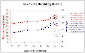 Headstarting Box Turtles And Juvenile Growth Rates