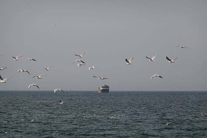 مضيق هرمز (رويترز).