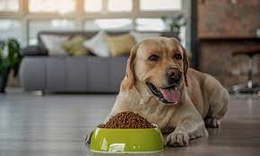 Maybe you would like to learn more about one of these? Pet Owners Suit Over Prescription Pet Food Reinstated Business Insurance