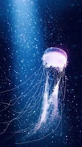 jellyfish digital art 4k wallpaper