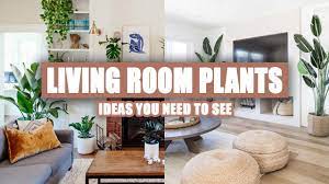 living room plants decor ideas