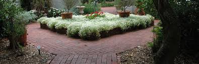 design types of gardens gardening