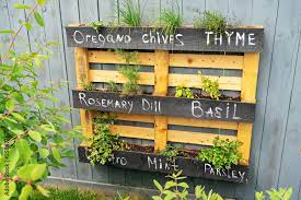 Creative Wood Herb Planter Made Of