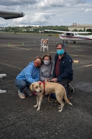 View available dogs, cats, rabbits, horses and more. Dog Rescuers Overcome Pandemic S Limitations To Bring A Puppy To Renton Renton Reporter