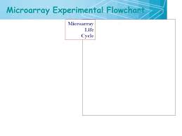 Overview Of Microarray 2 71 Gene Expression Gene Expression