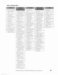 48 Skillful Ritas Process Chart Pdf