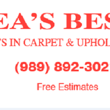the best 10 carpet cleaning in bay city