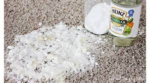 cleaning carpet pet stains with baking soda