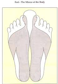 Reflexology Of The Foot Foot Reflexology Reflexology