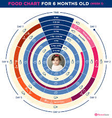 Curious Nine Month Baby Food Chart In Hindi Baby Food Chart