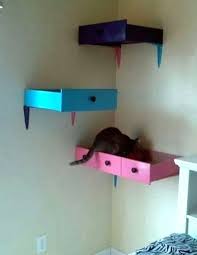 drawer cat shelf petdiys com