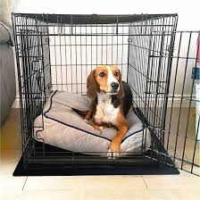 ric expandable pet crate with floor