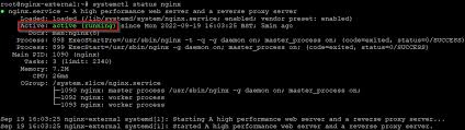 install nginx web server on debian 11