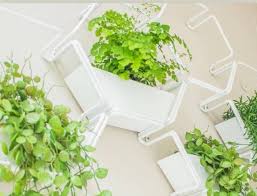 White Wall Planter Indoor Living Wall