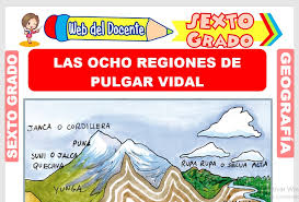 las ocho regiones de pulgar vidal para