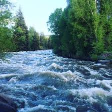 Image result for early raging  colorado river