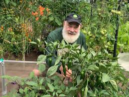 Gardening Andrew Weil M D