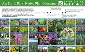 A field guide to the wildflowers and prairie grasses of illinois and the midwest. Jan Smith Park Carol Stream Park District