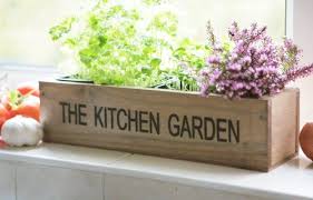 Primrose Wooden Kitchen Herb Garden Kit
