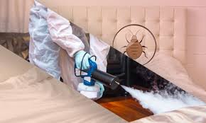 heat treatment for bed bugs in texas