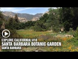 santa barbara botanic garden