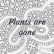 Plants are gone