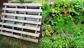 how to make a wooden pallet vertical garden