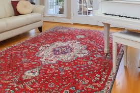 oriental area rug moth insect control
