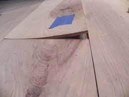 wood floor cupping cause and effect