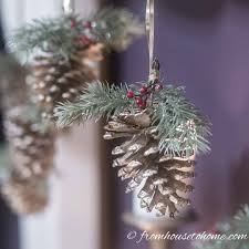 Pine Cone Diy Ornament