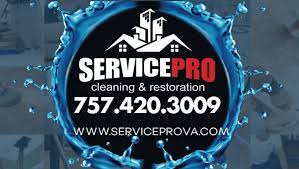 carpet cleaning services service pros