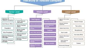 Telecom Company Hierarchy Chart Hierarchystructure Com